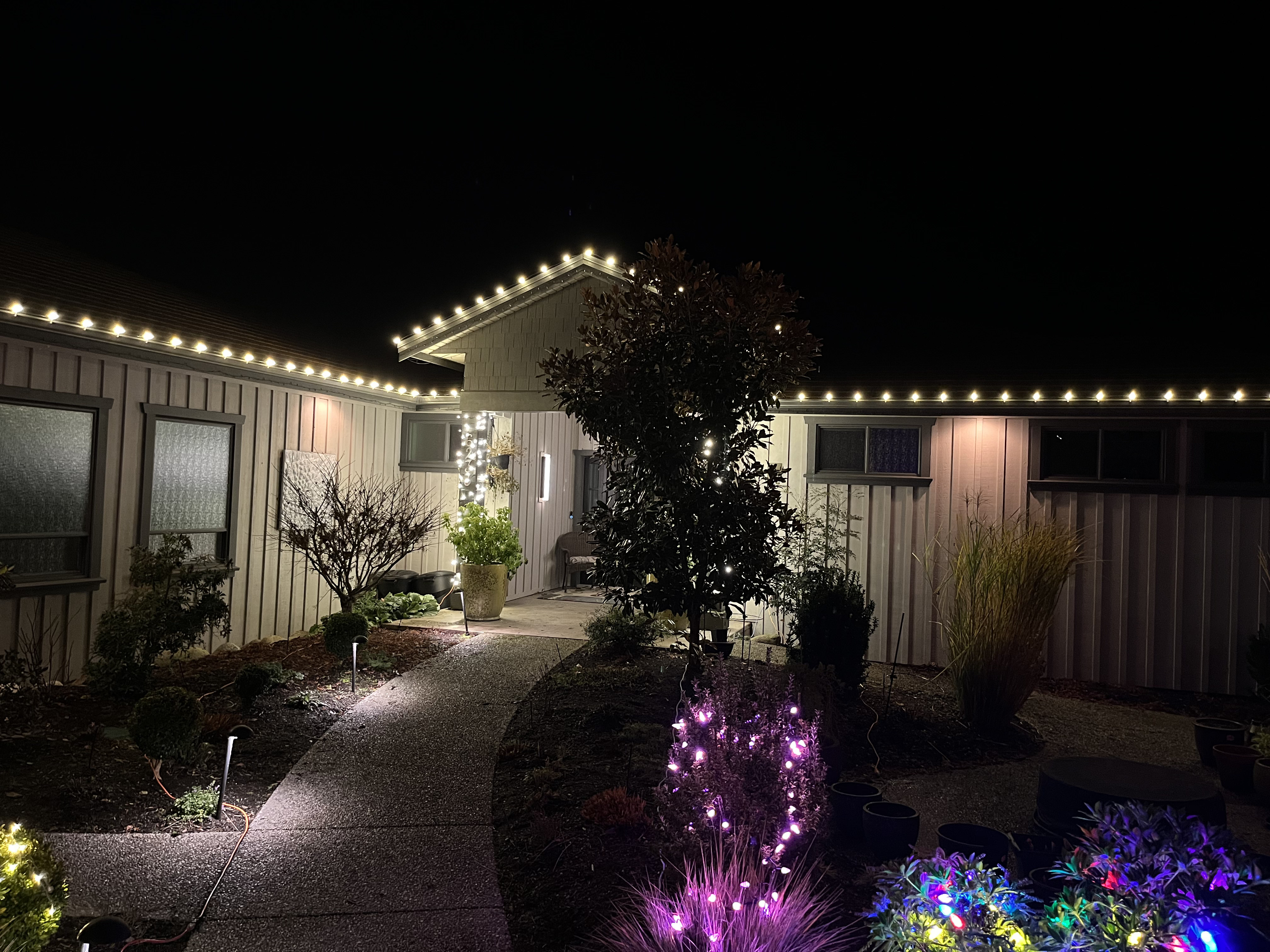 Warm white Christmas lights West Sechelt BC